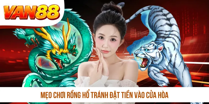 Mẹo chơi Rồng Hổ tránh đặt tiền vào cửa Hòa